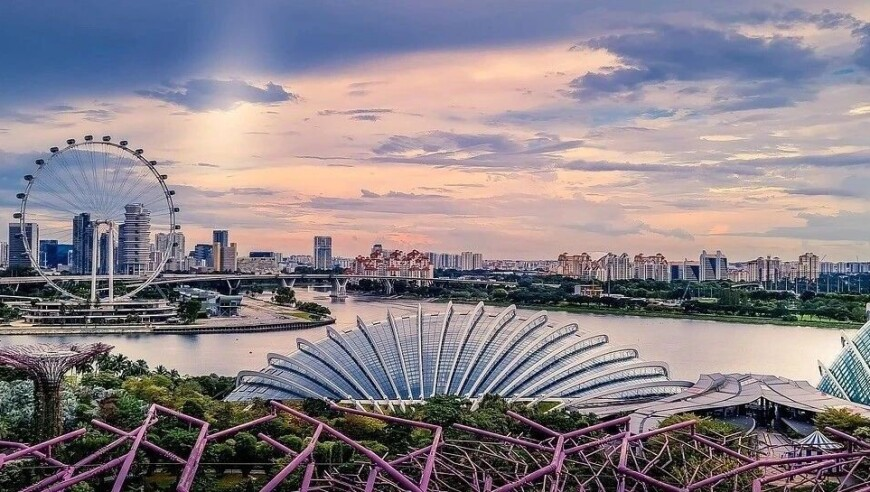 一肖二特是什么意思啊,王天辰古子成合跳手势舞,最新答案解释落实_升级版V10.32
