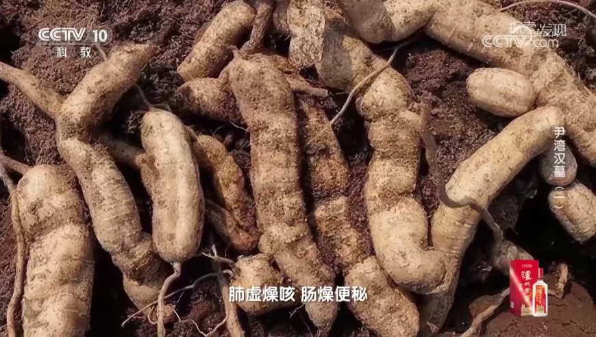 《哪吒2》大爆之后最令人担忧的事,新澳门彩开奖结果2025,决策资料解释落实_终极版V1.82