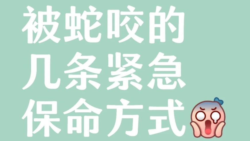 新澳门生肖今期开奖结果,郑钦文多哈赛首秀对阵贾巴尔,国产化作答解释落实_创新版V12.66