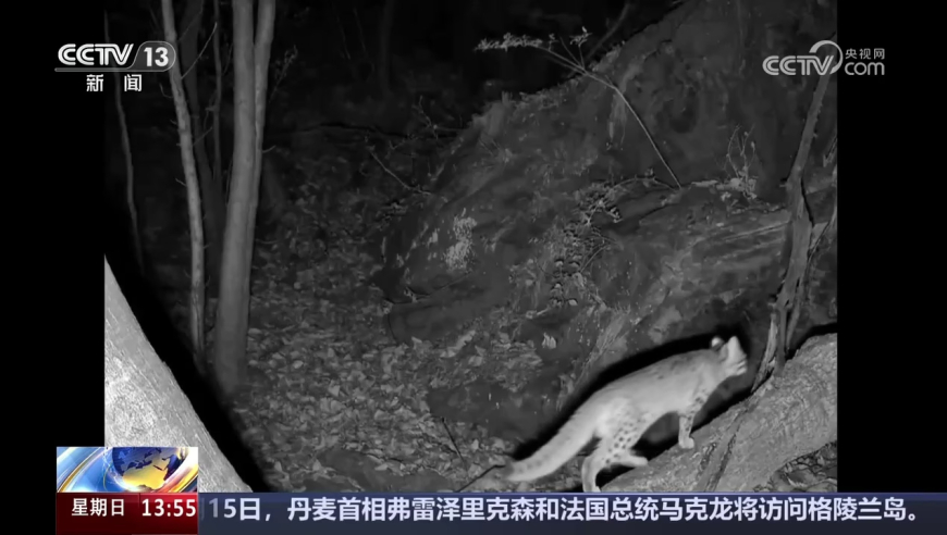 浙传艺考女生现场卸妆撞脸马思纯,新澳门开奖记录今天开奖结果,创新典义解读_探索版V4.43